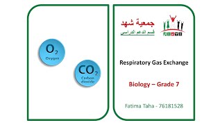 Ibda3  GR7 Biology  Respiratory Gas Exchange [upl. by Annaiuq271]