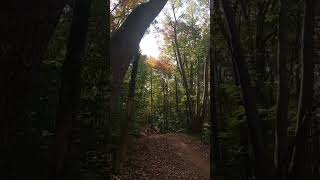 Mountain BikeJumps  Snowshoe 2024 [upl. by Lleznod989]