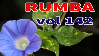 Rumba melody Instrumental Relaxing Music Soft music for relaxation vol 142 [upl. by Fidele191]