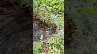 Starved Rock State Park outdoors canyon waterfall [upl. by Nueoht]