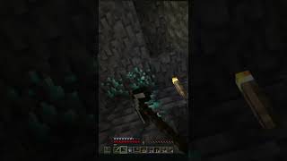 Laag is very dangerous minecraft minecraftshorts memes [upl. by Lordan451]