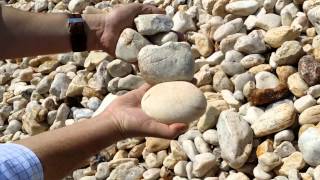 34quot Goose Egg Stones for Sale in NJ amp NY  Best Prices amp Bulk Delivery [upl. by Lindsey]