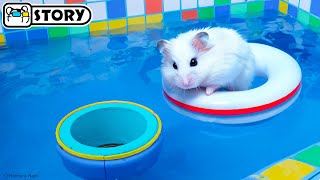 The Awesome Hamster Pool Maze 🐹 Homura Ham Pets [upl. by Lat]