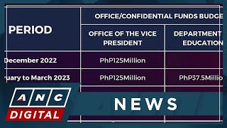 Saan napunta Chua questions where OVPs total of P6125M in confidential funds went  ANC [upl. by Rorry]