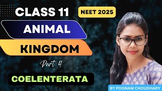 PHYLUM COELENTERATA  CNIDARIA  Animal kingdom L4  class 11  Neet 2025  Poonam Choudhary [upl. by Berrie]