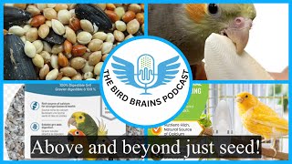 Above and beyond just seed for your birds The bird brains podcast ep 60 [upl. by Mord]