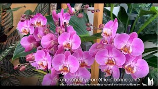 Faire refleurir ses orchidées  Truffaut [upl. by Naget435]