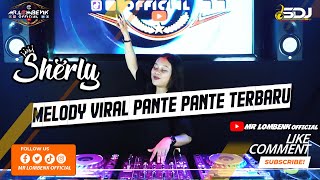 DJ SERLY VIRAL BREAKBEAT 2022  PANTE PANTE TERBARU MR LOMBENK OFFICIAL [upl. by Eveineg63]