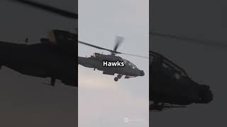 US Armys AI Black Hawk Helicopters A G 2024 10 18 [upl. by Burrton]