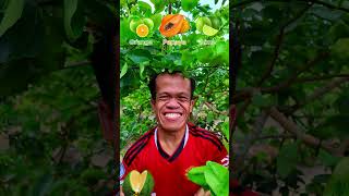 Round fruit on tree youtubeshorts fruit mukbang [upl. by Nodaj779]