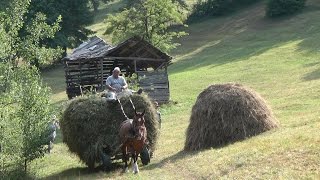 Romania Transylvania Hay Camp 2015 Part 3 [upl. by Grogan]