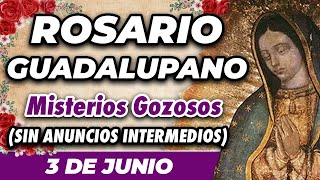 ROSARIO GUADALUPANO 3 DE JUNIO SIN ANUNCIOS INTERMEDIOS 🌷 Misterios Gozosos 🙏 [upl. by Rotceh]