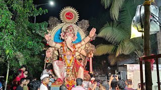 Juinagar Cha Maharaja Visarjan 2024 Navi Mumbai 🔥😱 [upl. by Malvia624]