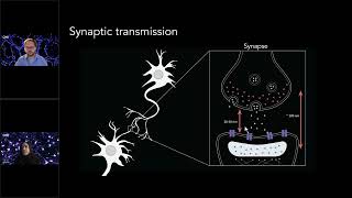 Zooming Into Synapses Tips for Using SMLM in Neuroscience Research [upl. by Corabella639]