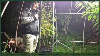 Highlight 🌱4 WIR VERBRENNEN 3169KG CANNABISquotERNTEÜBERSCHUSSquot LIVE AUF TWITCH [upl. by Merfe409]