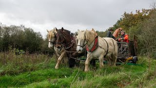 RNR Bocage des Antonins  Chantier en traction animale [upl. by Star628]