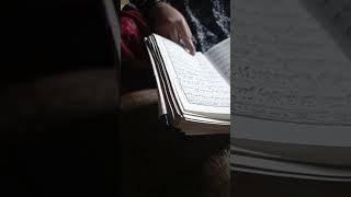 quran shortsvideo shortvideo ytshortsvideo islamicshorts urdu [upl. by Eremehc454]