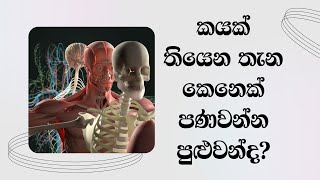 කයක් තියෙන තැන කෙනෙක් පණවන්න පුළුවන් දMost Ven Mankadawala Sudassana Thero [upl. by Nylecyoj]