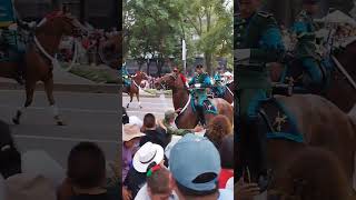 Porque le pasó esto al caballo en el desfile militar 2024 [upl. by Oirom]