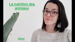 La nutrition des animaux  5ème  Madame SVT [upl. by Ecerehs403]