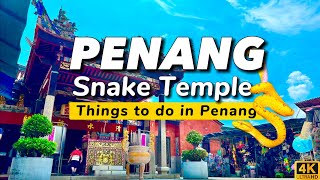 Snake Temple Penang  Things to do in Penang  Malaysia [upl. by Lebasiairam848]