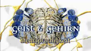 Manfred Spitzer  Geist amp Gehirn  Mehrsprachigkeit 11 [upl. by Badr]