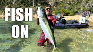 SPEARFISHING NSW  FISH ON Jetski Spearfishing [upl. by Krid411]