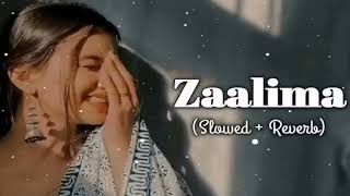 Zaalima Slowed and Reverb  Raees  Arijit Singh Harshdeep Kaur lofi newhindisongs viral [upl. by Touber]