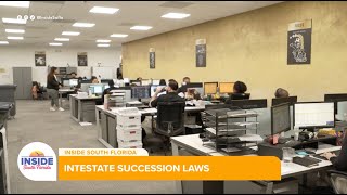 Understanding Intestate Succession Laws A Legal Breakdown from Demesmin amp Dover [upl. by Notniv585]