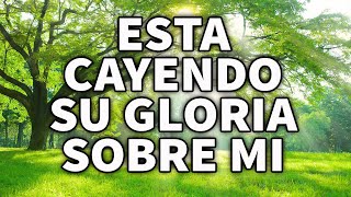 CANSADO DEL CAMINO SEDIENTO DE TI  ADORACIONES Y ALABANZAS PODEROSAS PARA ORAR  ALABANZAS 2024 [upl. by Calie]