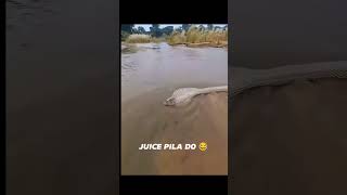 Juice pila do mosambi ka very special trending funny comedy video 2024 funny memes comedy comedy [upl. by Nohsyt]