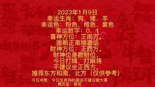 形成天财的决定因素应该是勤奋 2023年1月9日生肖 好运连连 [upl. by Christabel]