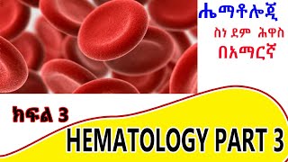 Hematology Hematopoisis part 3 Amharic [upl. by Stempien]