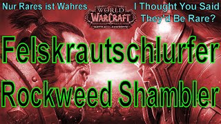 WoW  Felskrautschlurfer  Rockweed Shambler  Nur Rares ist Wahres  I Thought You Said Theyd Be [upl. by Merrill313]