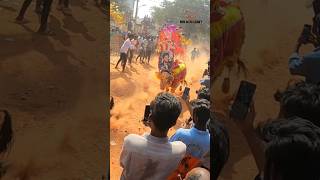 Allu Arjun 🔥 Bull Maas Entry 🐂 Patha Gunta Jallikattu 🤯chittoorjallikatturunwithvinaybullrace [upl. by Aneehsar]