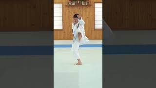 jka karate kata unsu [upl. by Balch903]