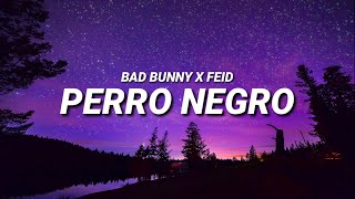 BAD BUNNY ft FEID  PERRO NEGRO Letra  Lyrics [upl. by Butcher160]