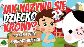 Jak nazywają się dzieci zwierząt na wsi Poznaj 10 uroczych nazw 🐕🐖 [upl. by Ahsenik]