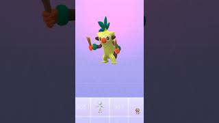 Grookey Evolution pokemon [upl. by Neleag587]