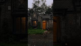 the gatehouse through the seasons ☘️ cottagecore darkcottagecore [upl. by Fante]