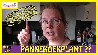 HOE VERPOT IK EEN PANNEKOEKPLANT [upl. by Leasim]