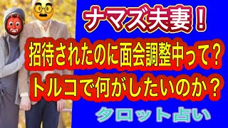 【タロット占い】 ナマズ夫妻‼️ト⭕️コに招待されたのに調整中って⁉️何したいの⁉️ [upl. by Nwahsyt15]