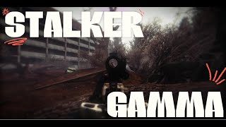 SPIT IN MY FACE  ThxSoMch STALKER GAMMA [upl. by Adeirf]