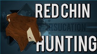 RSucation  Complete Red Chinchompa Hunting Guide 6399 Hunter Guide Old School Runescape [upl. by Cuda602]