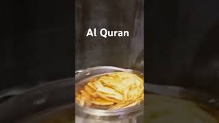 Insan bara hi na shukra hai😢quran translationquranandislam urdu [upl. by Bertelli]