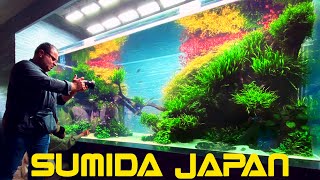 Worlds Best Planted Aquariums  Takashi Amanos Aquascapes [upl. by Barnard647]