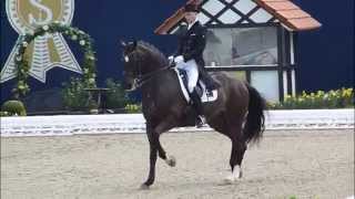 wwwreitschulesandbrinkde AKEEM FOLDAGER Grand Prix Hagen 2013 Dressage [upl. by Osher255]