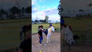 Training a Beautiful White Horse in a Scenic Pasture [upl. by Kaz43]