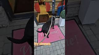 Dry cleaners [upl. by Landing]