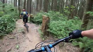 Mt Fromme BC black tech trail flopsy bunny [upl. by Brest]